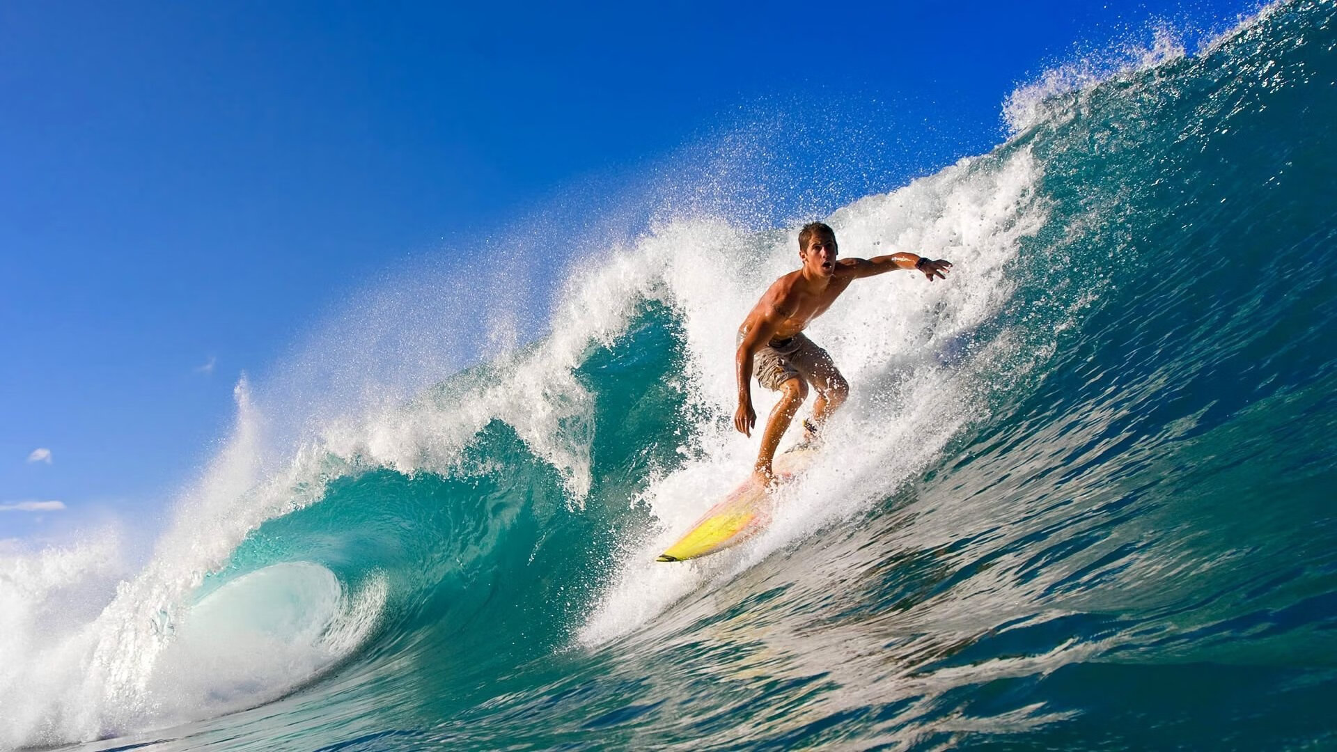 开云体育链接-如何打造超级球星:科班出身还是天赋异禀?,球员科科