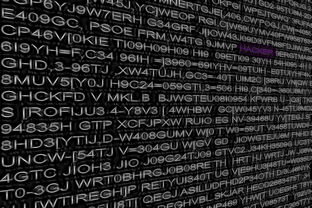 开云体育-德甲球队利用大数据分析优化进攻转换效率,2021德甲用球