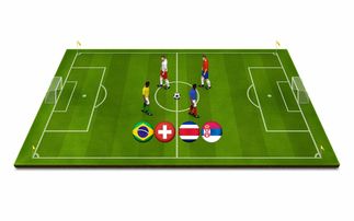 开云体育官网在线-青少年体育运动安全保障体系研究，推动青少年体育事业蓬勃发展的文件